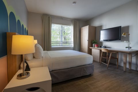 Premium Room, 1 King Bed | Pillowtop beds, blackout drapes, iron/ironing board, free WiFi