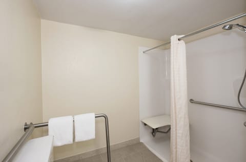 Superior Room, 1 King Bed, Non Smoking (Roll-In Shower) | Accessible bathroom