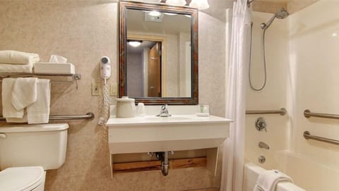 Separate tub and shower, hair dryer, towels