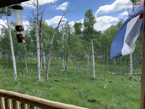 The view from the wrap around deck