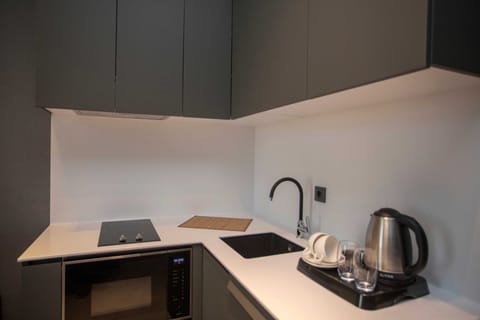 Standard Apartment | Private kitchen | Fridge, microwave, stovetop, electric kettle