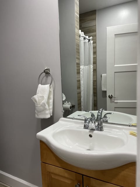 Room, 1 Queen Bed, Non Smoking | Bathroom | Shower, rainfall showerhead, hair dryer, towels