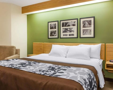 Suite, 1 King Bed, Non Smoking, Jetted Tub | In-room safe, iron/ironing board, rollaway beds, free WiFi