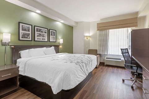 Standard Room, 1 King Bed, Non Smoking | Iron/ironing board, free WiFi, bed sheets, alarm clocks