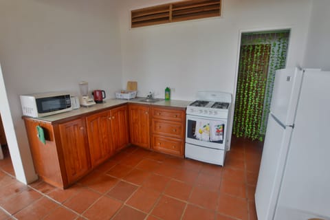 Family Apartment, 2 Bedrooms, Kitchen, Beach View | Private kitchen | Fridge, stovetop, coffee/tea maker