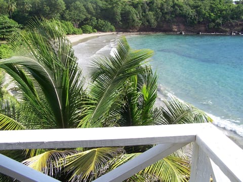 Private beach, sun loungers, beach towels, beach massages