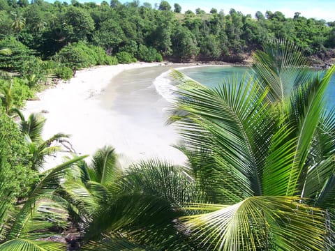 Private beach, sun loungers, beach towels, beach massages