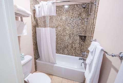 Combined shower/tub, free toiletries, hair dryer, towels