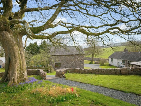 Garden and grounds | Tankey Lake Farm- Teal, Mallard - Tankey Lake Farm, Llangennith, near Swansea