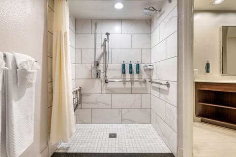 2 Bedroom 1 King 2 Twins Suite Roll-in Shower | Bathroom shower