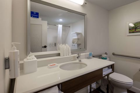 Room, 1 King Bed, Accessible, Bathtub | Bathroom | Free toiletries, hair dryer, towels