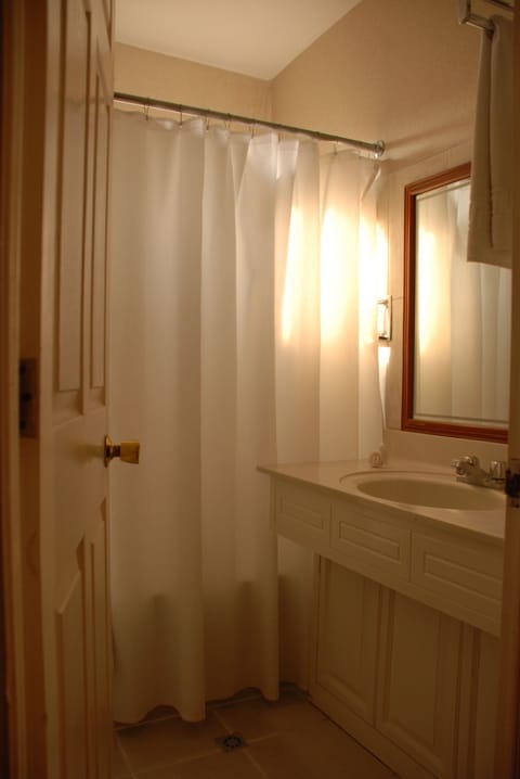 Combined shower/tub, hair dryer, towels