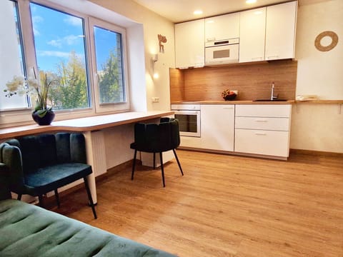 Superior Studio - Annex | Private kitchen | Fridge, microwave, electric kettle, highchair