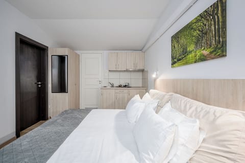 Superior Room with Kitchenette | Desk, laptop workspace, soundproofing, iron/ironing board