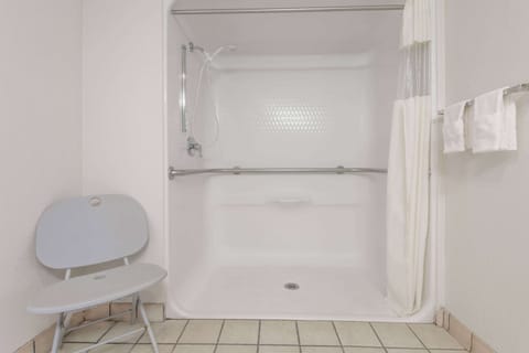 Room, 1 King Bed, Accessible, Non Smoking (Roll-In Shower) | Accessible bathroom