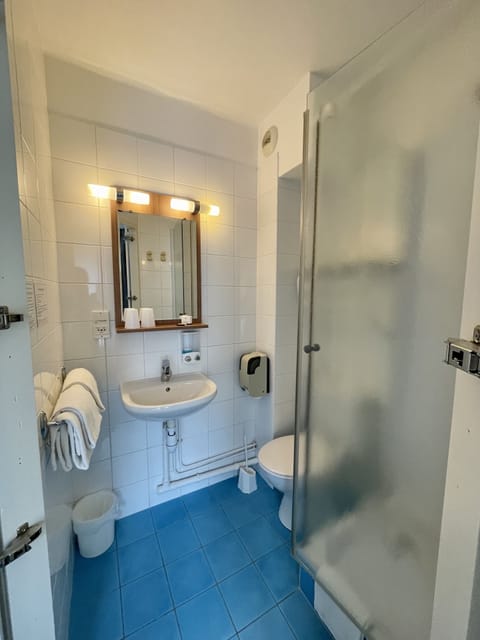 Classic Triple Room | Bathroom | Shower, free toiletries, hair dryer, towels