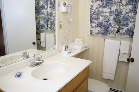 Combined shower/tub, free toiletries, hair dryer, towels