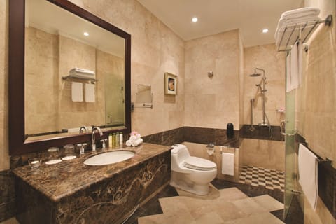 Two Bedroom Suite | Bathroom shower