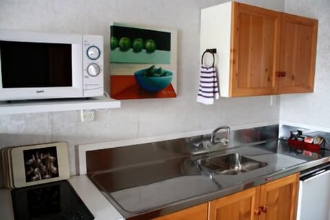 Fridge, microwave, stovetop, electric kettle