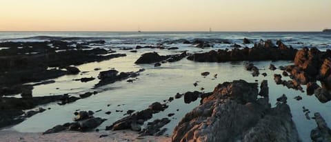 Beach/ocean view