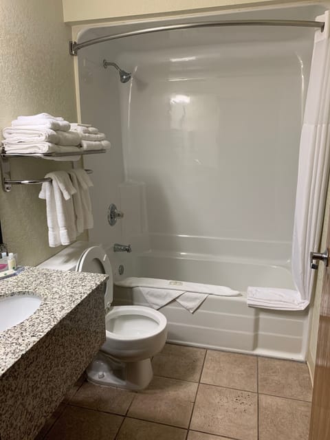 Combined shower/tub, free toiletries, hair dryer, towels