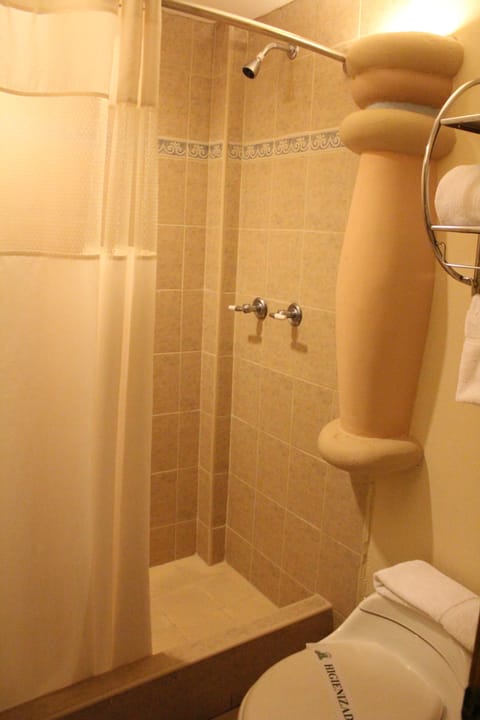 Standard Room, 1 Queen Bed | Bathroom | Shower, hair dryer, towels