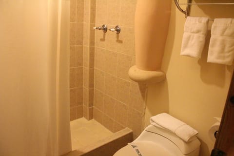 Double Room, 2 Double Beds | Bathroom | Shower, hair dryer, towels
