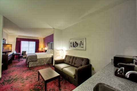 Suite, 1 King Bed | Living area | Flat-screen TV