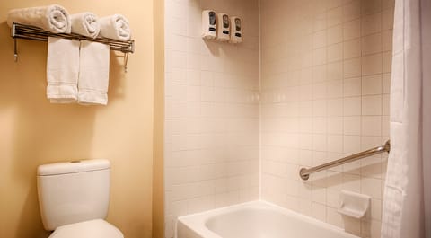 Combined shower/tub, free toiletries, hair dryer, towels