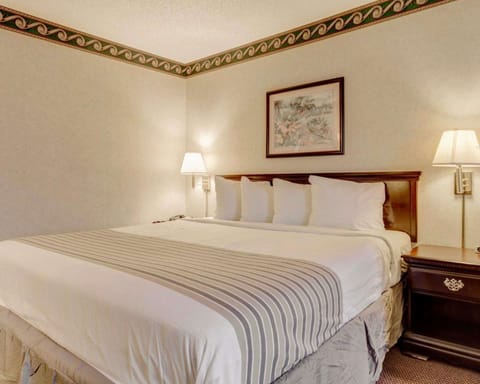 Desk, free WiFi, bed sheets, alarm clocks