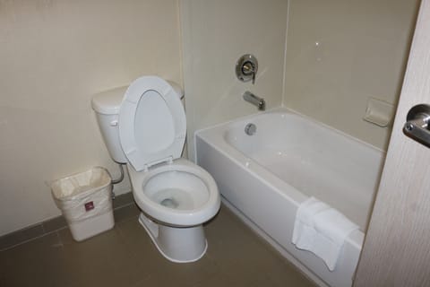 Combined shower/tub, free toiletries, hair dryer, towels