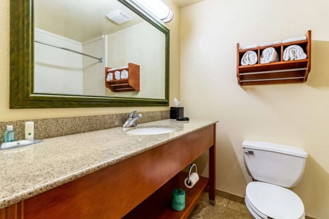 Standard Room, 1 King Bed, Non Smoking | Bathroom | Combined shower/tub, hair dryer, towels