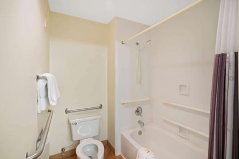 Combined shower/tub, free toiletries, hair dryer, towels