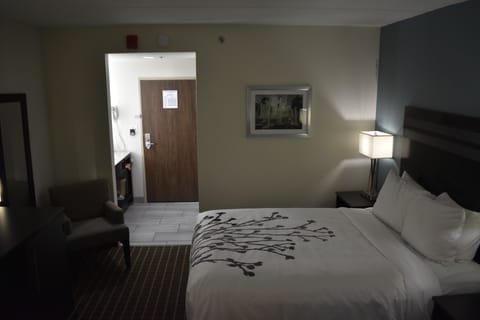 Standard Room, 1 King Bed, Non Smoking | Desk, blackout drapes, iron/ironing board, rollaway beds