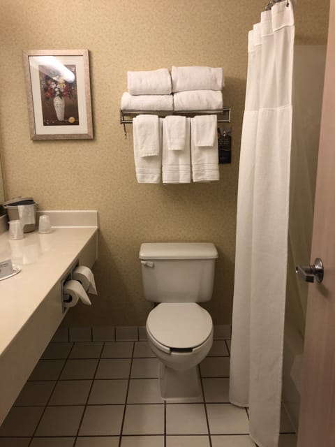 Combined shower/tub, free toiletries, hair dryer, towels