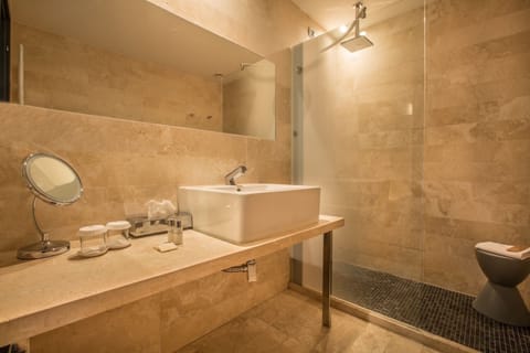 Shower, free toiletries, bidet, towels