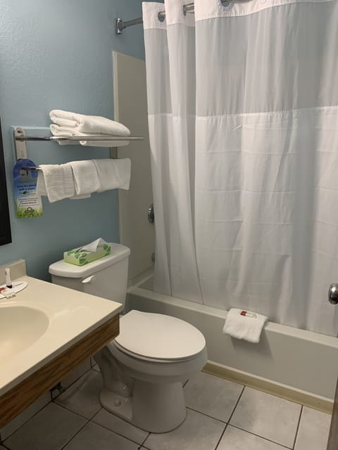 Combined shower/tub, free toiletries, hair dryer, towels