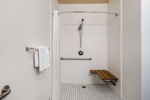 Room, 1 King Bed, Accessible, Non Smoking | Bathroom shower