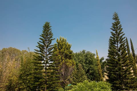 Room, 2 Queen Beds, Balcony, Garden View | View from room