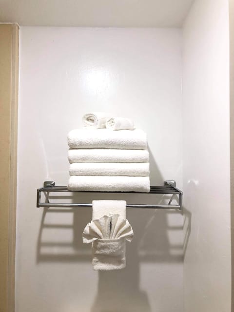 Combined shower/tub, free toiletries, hair dryer, towels