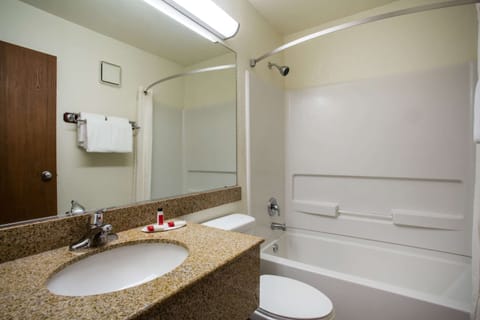 Combined shower/tub, free toiletries, hair dryer, towels