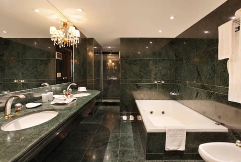 Suíte Executiva | Bathroom | Shower, free toiletries, hair dryer, bidet