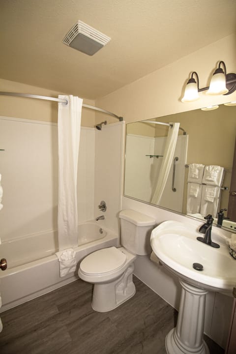 Combined shower/tub, free toiletries, hair dryer, towels