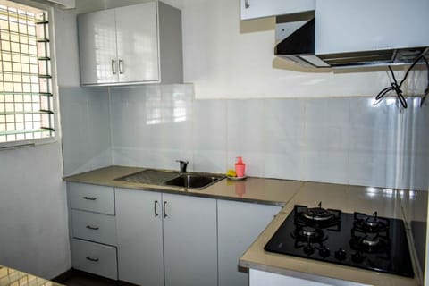 Family Apartment, 2 Bedrooms, Kitchen, City View | Private kitchen | Fridge, stovetop, coffee/tea maker, electric kettle