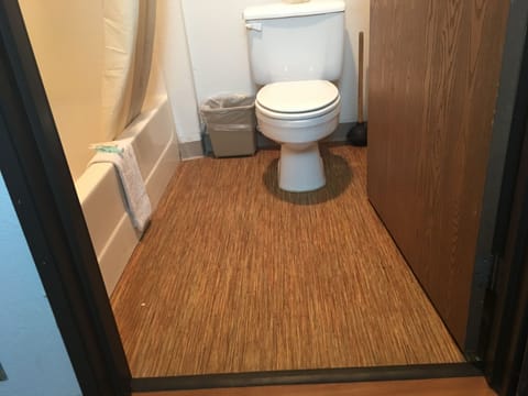 Combined shower/tub, free toiletries, towels