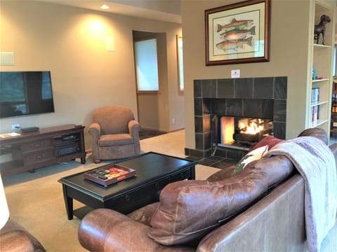 Main living room with fireplace and TV