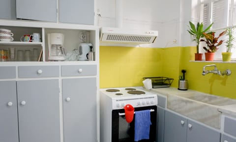 Apartment, 2 Bedrooms | Private kitchen | Full-size fridge, microwave, oven, stovetop