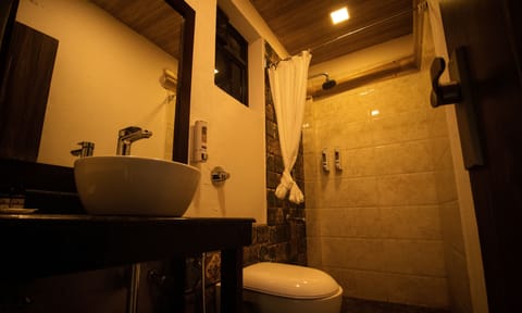 Executive Room | Bathroom | Shower, towels