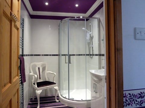 Suite, Ensuite (Welsh Mountain) | Bathroom shower