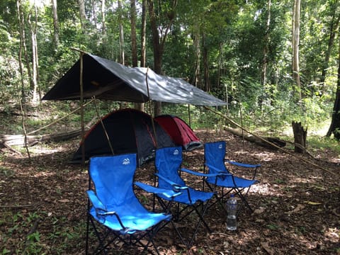 Tent | Living area